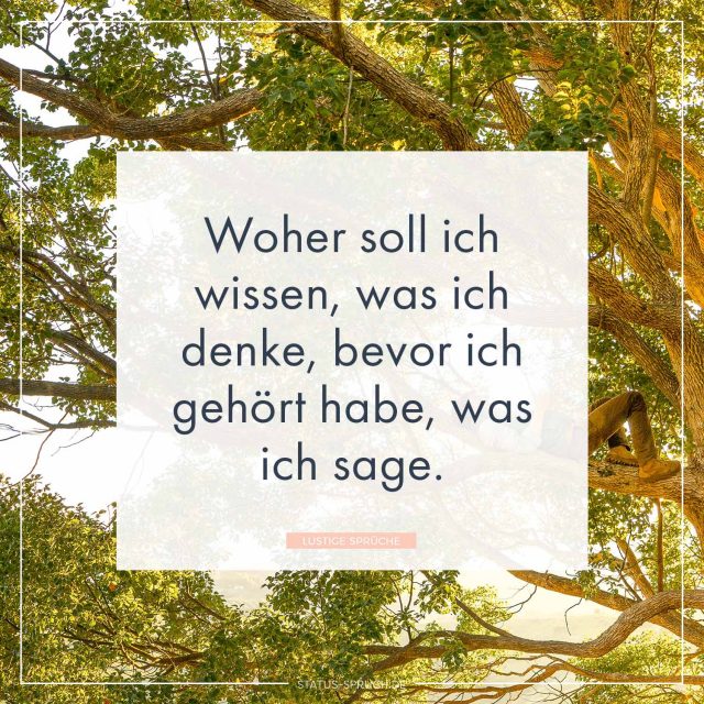Lustige Sprüche 100+ Sprüche, die dich zum Lachen bringen