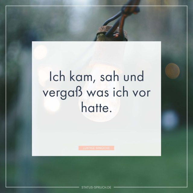 Lustige Sprüche 100+ Sprüche, die dich zum Lachen bringen