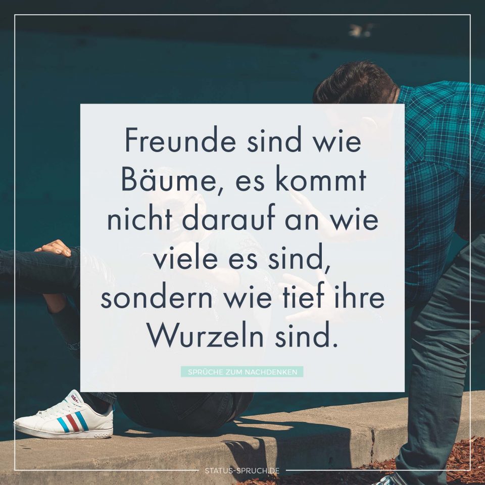 Freunde sind wie Bäume, es kommt nicht darauf an wie viele es sind