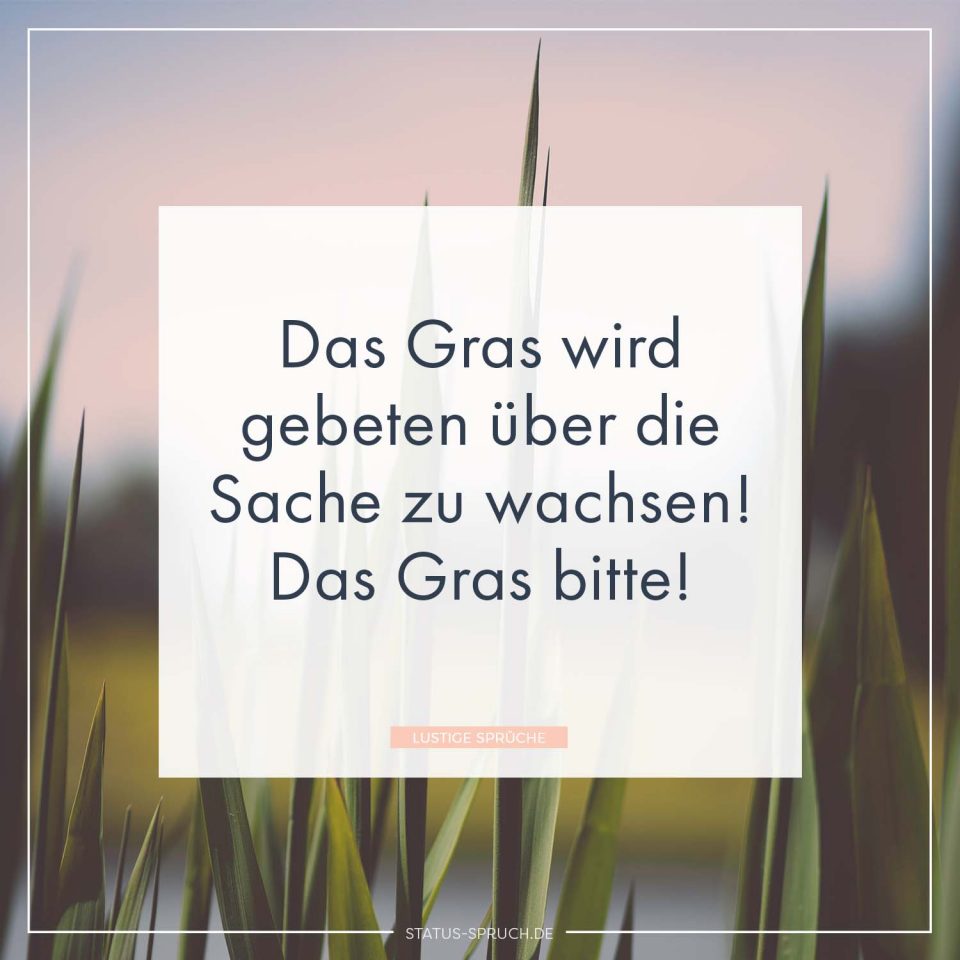 Lustige Sprüche 100+ Sprüche, die dich zum Lachen bringen