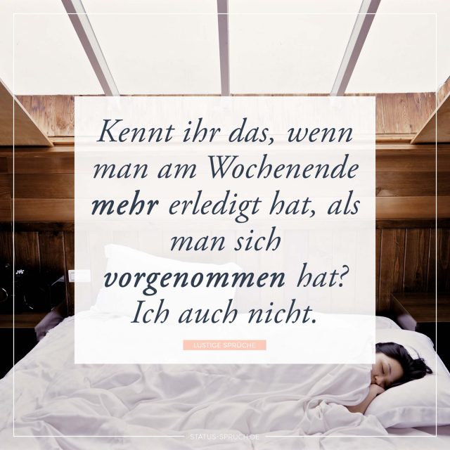 Lustige Sprüche 100+ Sprüche, die dich zum Lachen bringen