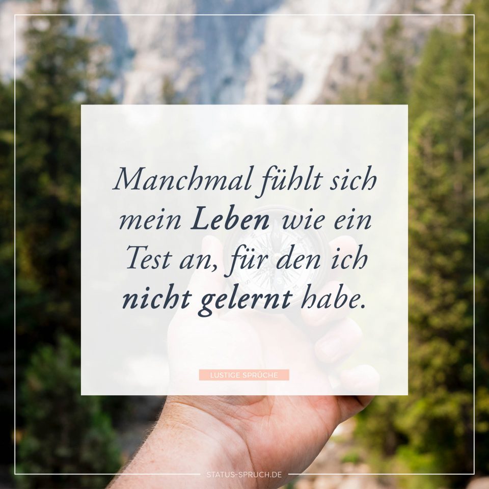 Lustige Sprüche 100+ Sprüche, die dich zum Lachen bringen