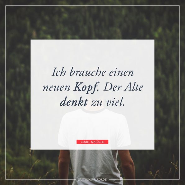 Coole Sprüche Die beliebtesten Sprüche.
