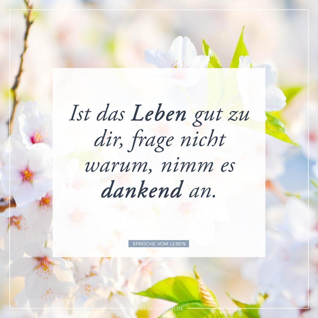 Sprüche vom Leben 39+ Sprüche über das Leben [2018]