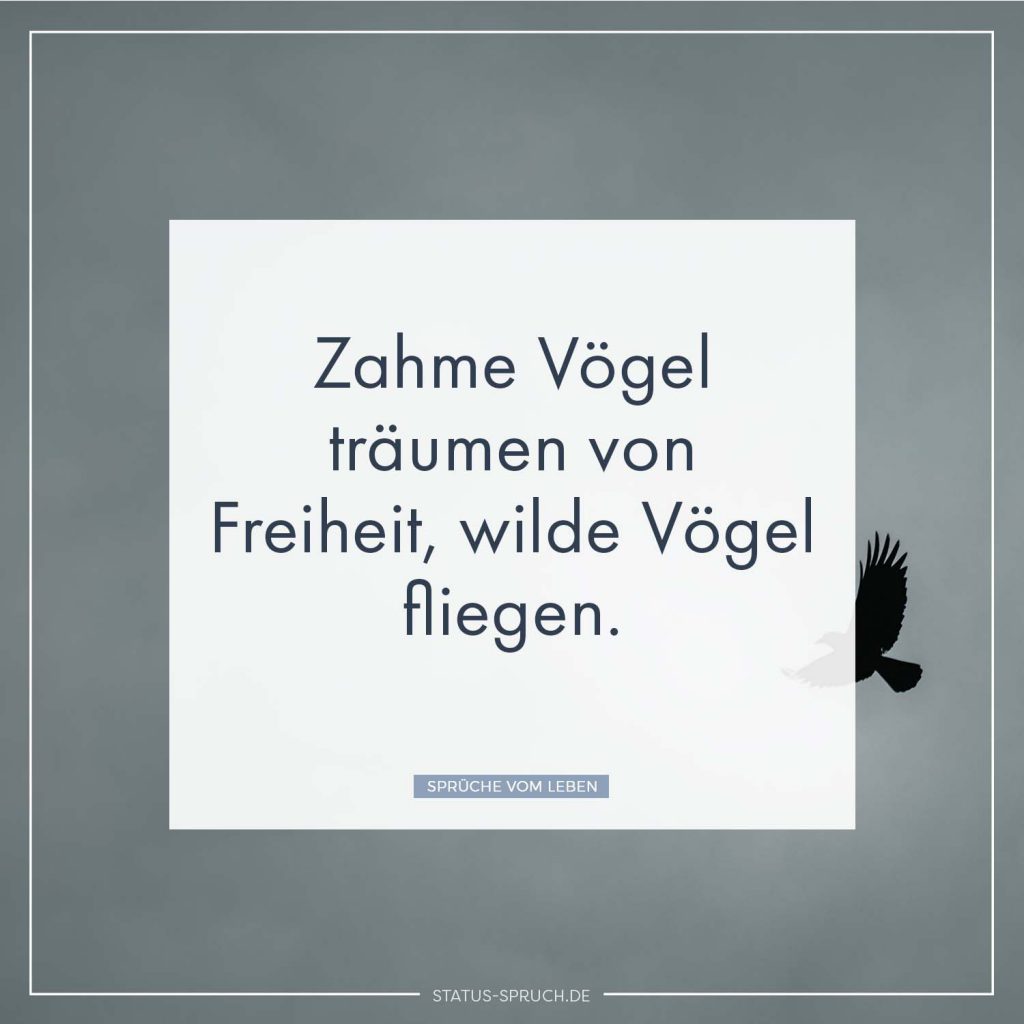 Zahme Vögel träumen von Freiheit, wilde Vögel fliegen. Whatsapp