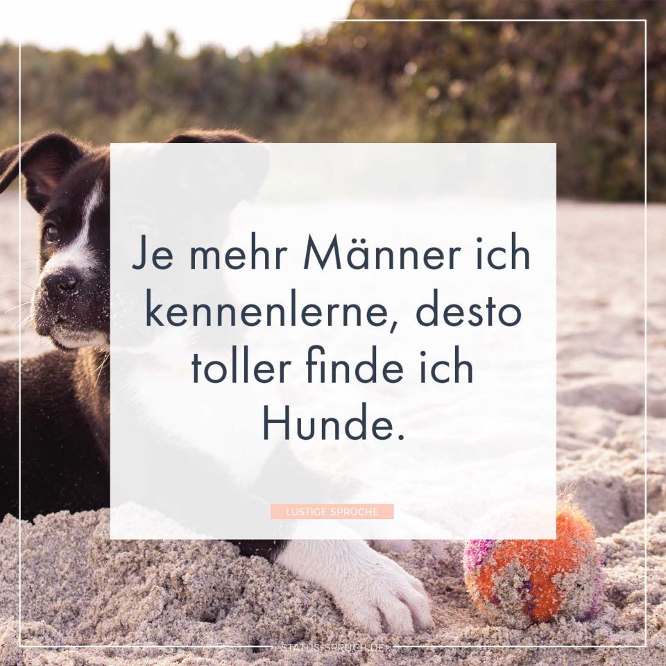 Lustige Sprüche 100+ Sprüche, die dich zum Lachen bringen