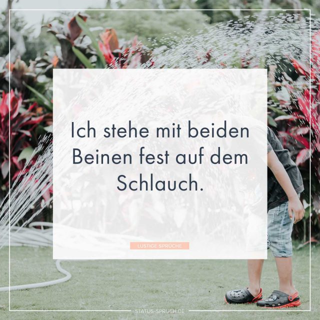 Lustige Sprüche 100+ Sprüche, die dich zum Lachen bringen