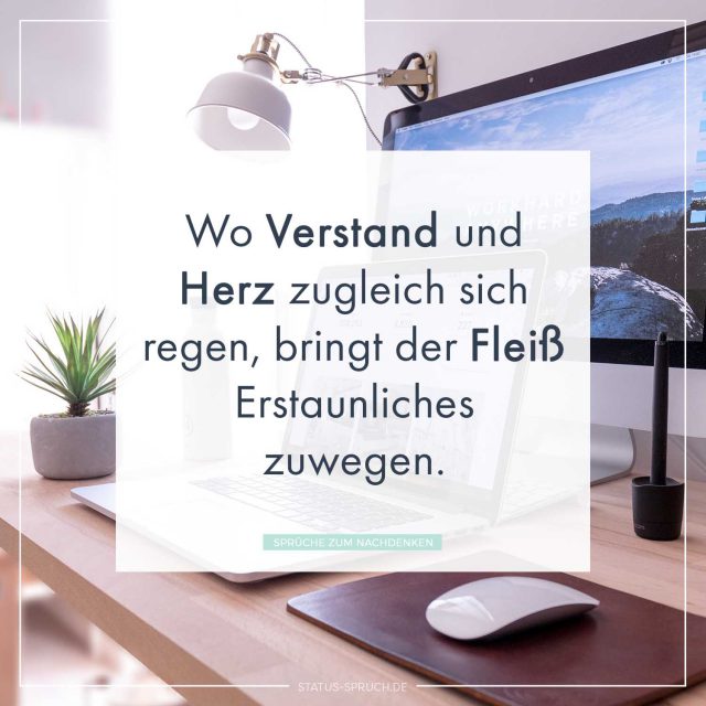 Whatsapp Status l Die neusten WhatsApp Sprüche [2019]