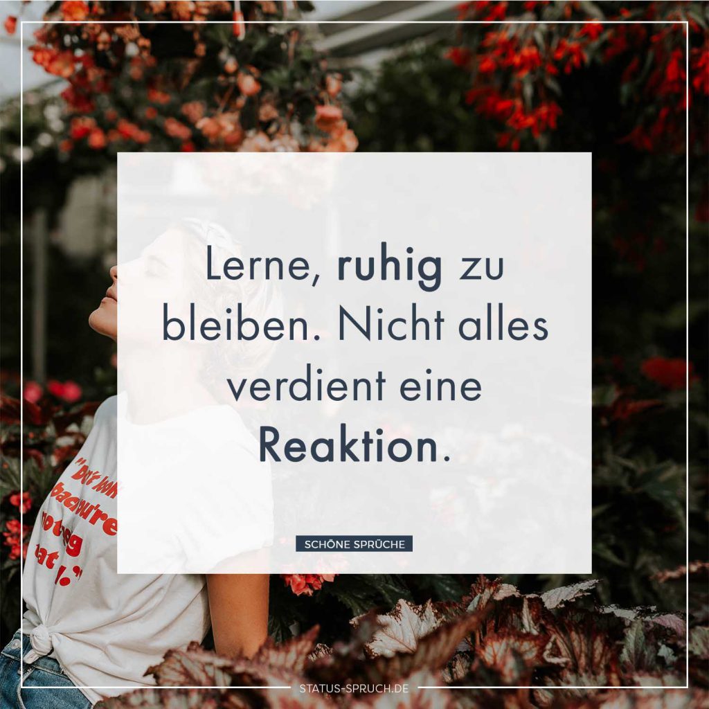 Lerne, ruhig zu bleiben. Nicht alles verdient eine Reaktion.