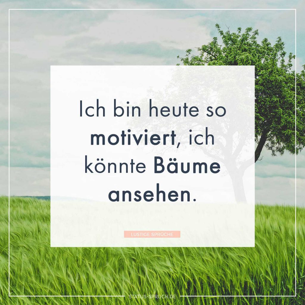 Lustige Sprüche 100+ Sprüche, die dich zum Lachen bringen