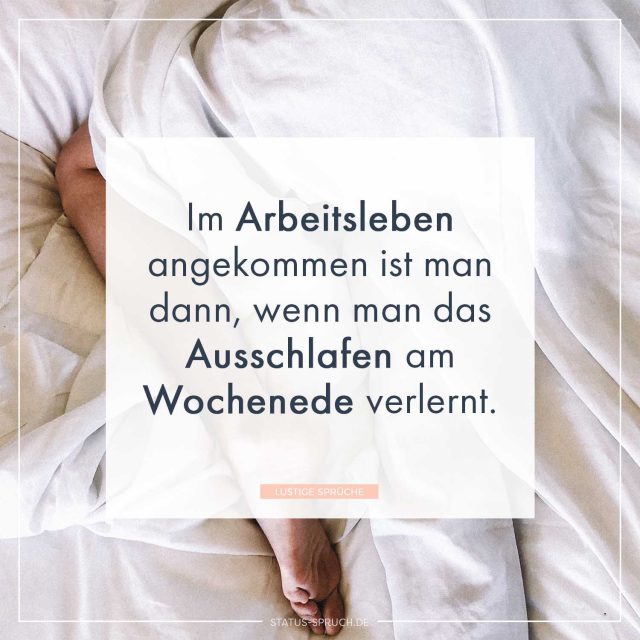 Lustige Sprüche 100+ Sprüche, die dich zum Lachen bringen