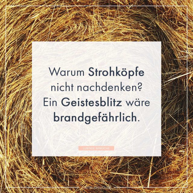 Lustige Sprüche 100+ Sprüche, die dich zum Lachen bringen