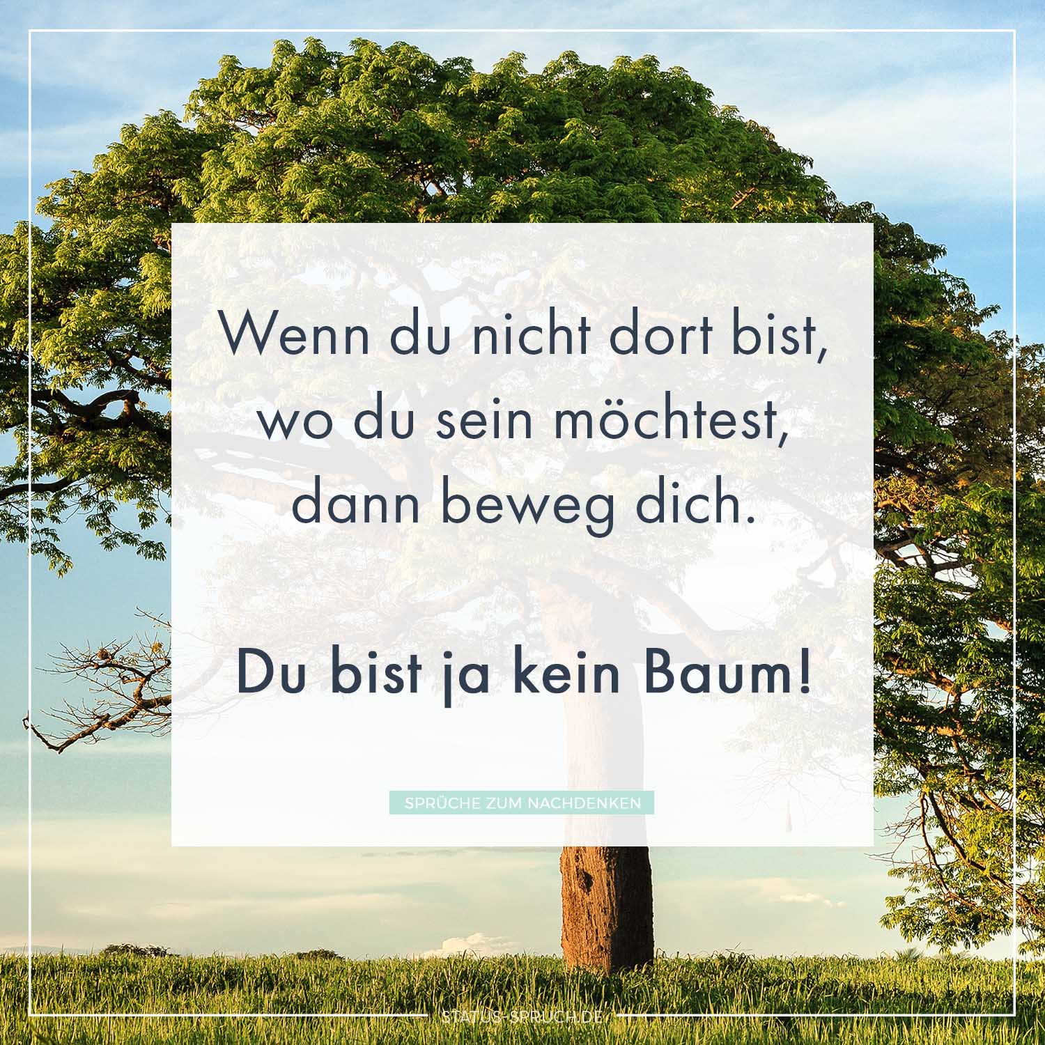 Wenn du nicht dort bist, wo du sein möchtest, dann beweg dich. Du bist