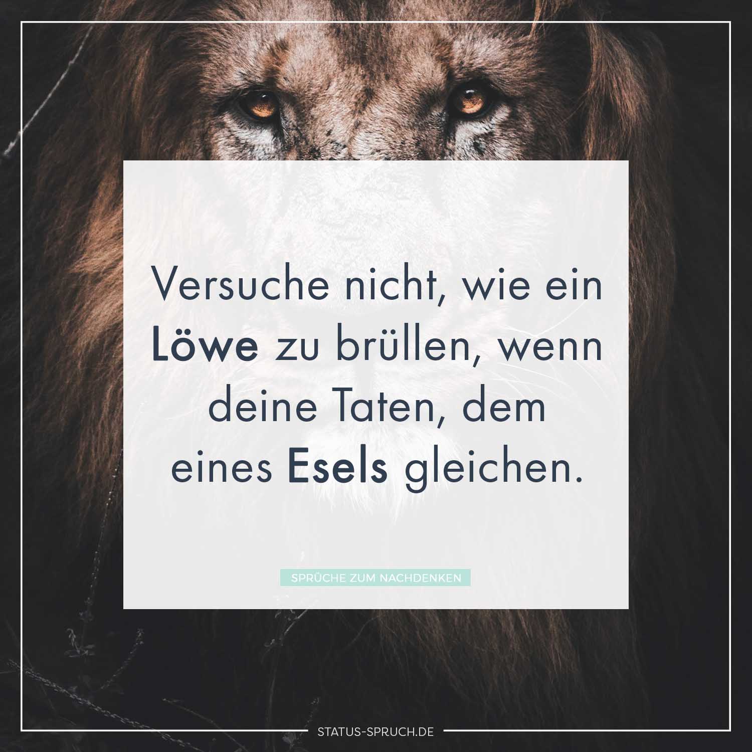 Liebe nachdenken status whatsapp Whatsapp Status